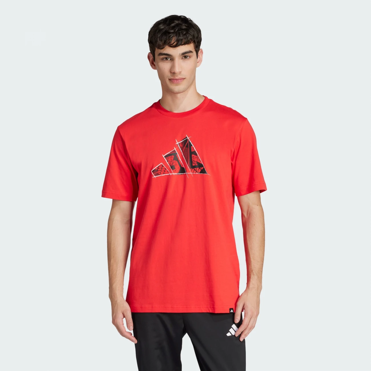 JJ3934 Adidas póló