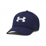 1376700-410 Under Armour sapka