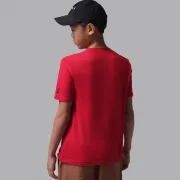 95F483-R78 Nike Jordan póló