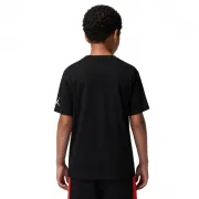 95G350-023 Nike Jordan póló