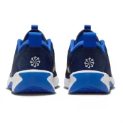 DM9027-404 Nike Omni Multi Court