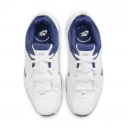 Dj1196-100 Nike Defyallday