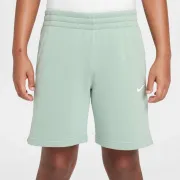 FD3015-037 Nike short