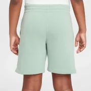 FD3015-037 Nike short