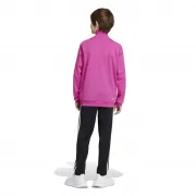 IS2535 Adidas jogging