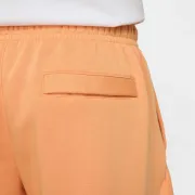 bv2721-856 Nike short