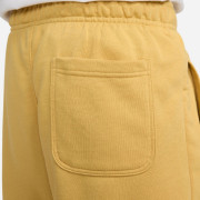 fb8830-725 Nike short